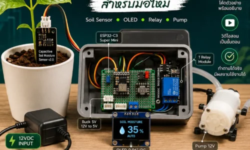 คอร์สระบบรดน้ำอัตโนมัติด้วย ESP32-C3 สำหรับมือใหม่